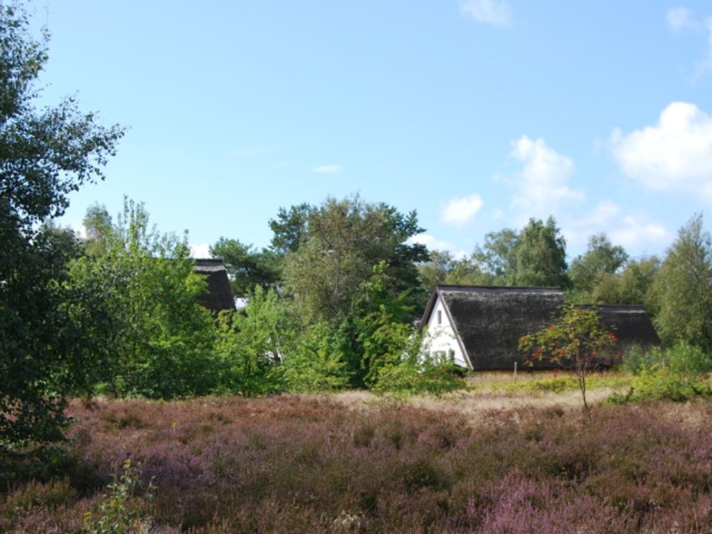 Doppelhaushaelfte In Vitte Auf Hiddensee Екстер'єр фото